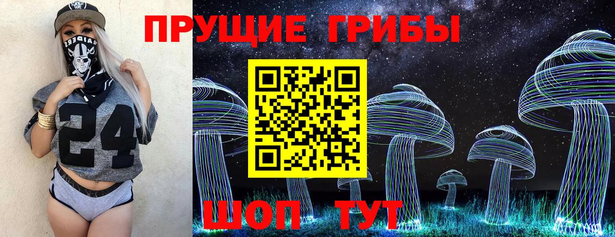 Галлюциногенные грибы Psilocybine cubensis Ржев