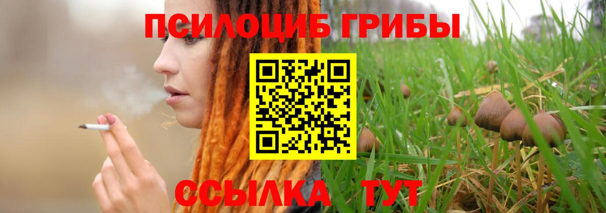 Галлюциногенные грибы MAGIC MUSHROOMS  Псилоцибиновые грибы прущие грибы  Ржев  Вход с VPN 