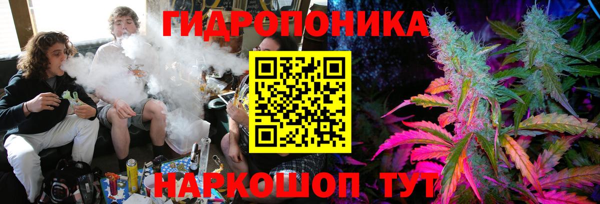 Шишки марихуана AK-47  Шишки марихуана ГИДРОПОН  Вход с VPN  МАРИХУАНА AK-47  Ржев  МАРИХУАНА THC 21% 